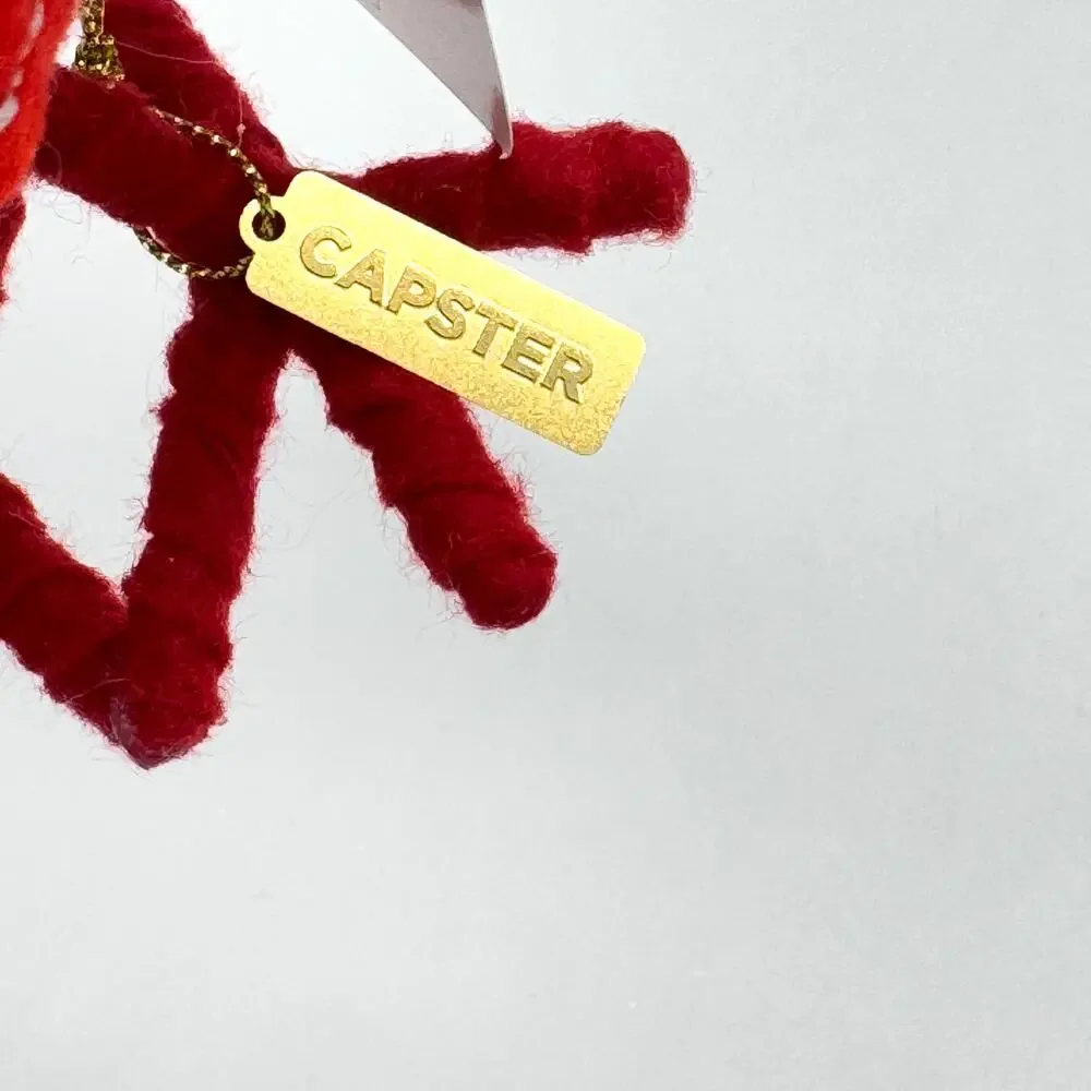 Target Wondershop Featherly Friends Red Mushroom Felt Bird Capster 2024 NEW